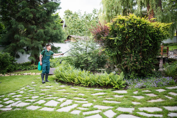 Best Local Pest Control Services  in Rugby, ND