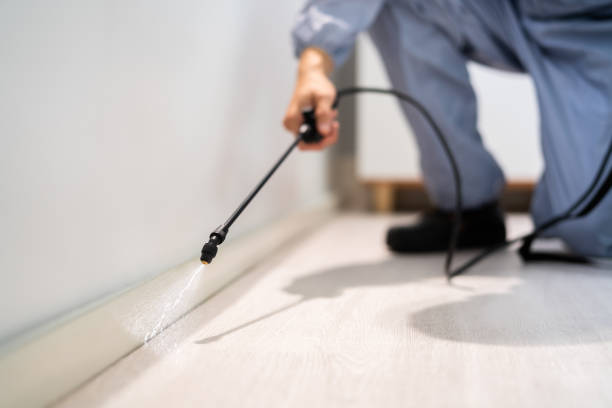 Best Pest Removal Services  in Rugby, ND