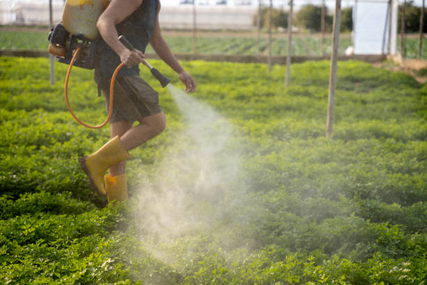Best Exterminator Services  in Rugby, ND