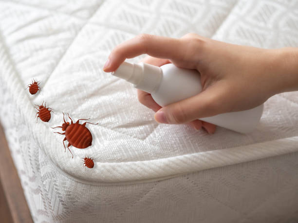 Best Pest Prevention Services  in Rugby, ND