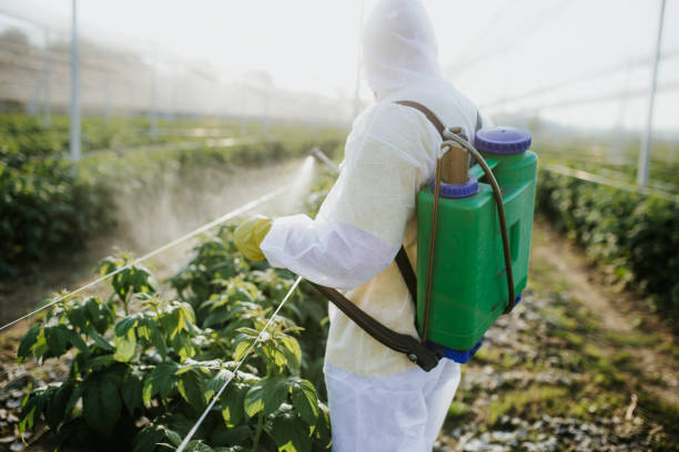 Best Emergency Pest Control  in Rugby, ND